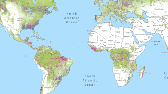 Global - Forest Watch - A Climate Analysis Indicator Tool (CAIT) - World  Resources Institute - Tools - OasisHUB