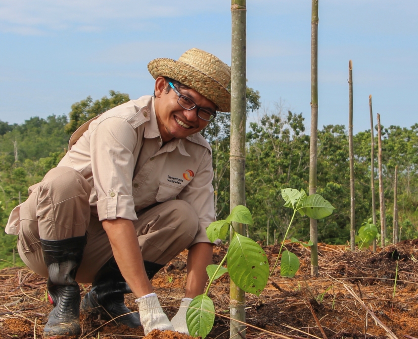 Employee of Fairventures planting trees